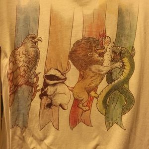 House Brawl Harry Potter Tee